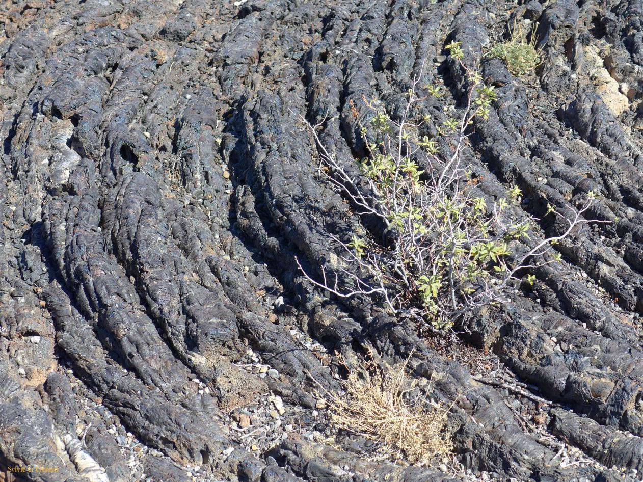 IDAHO Craters of the Moon 04 coulee de lave pahoehoe