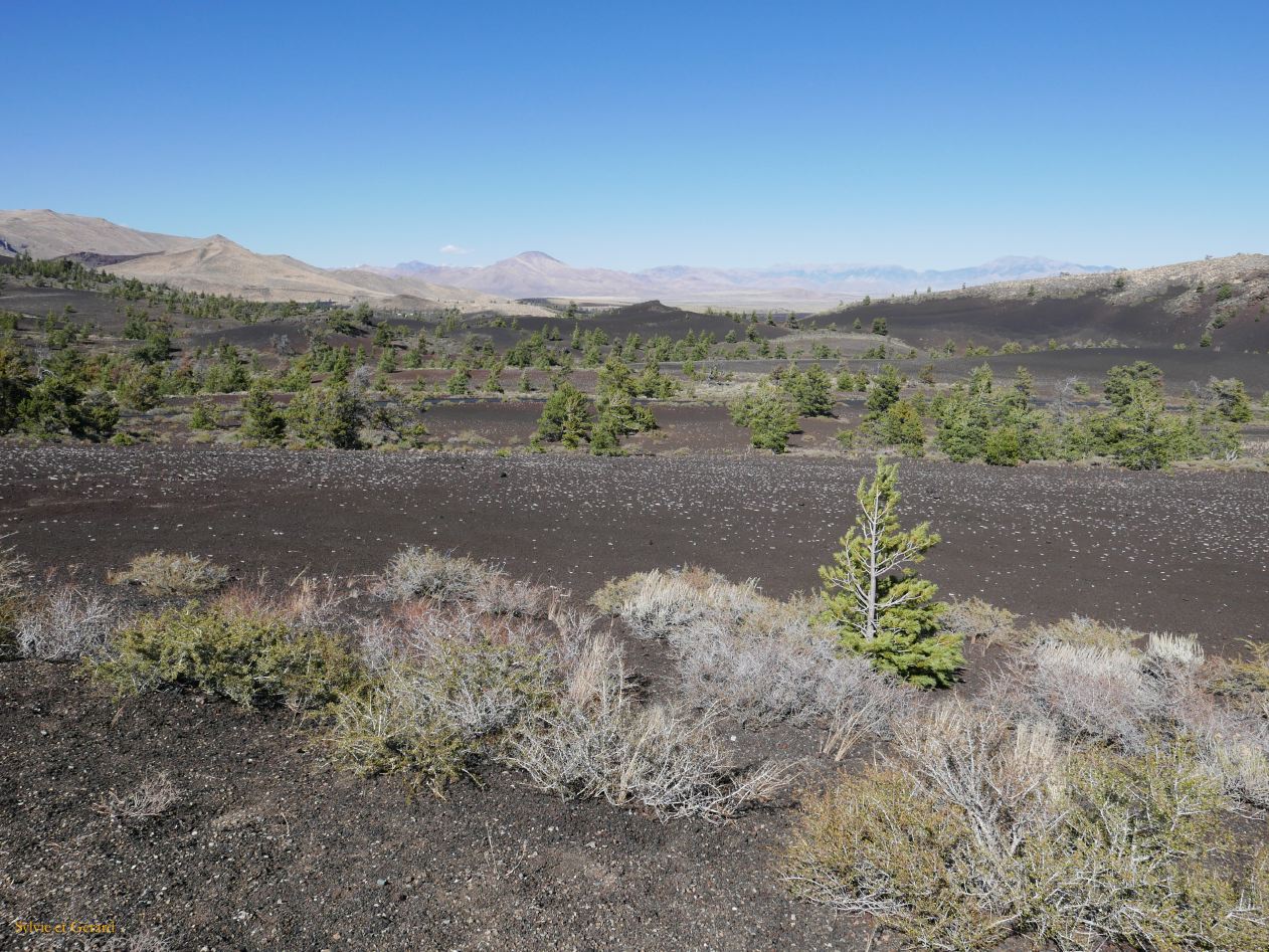 IDAHO Craters of the Moon 19