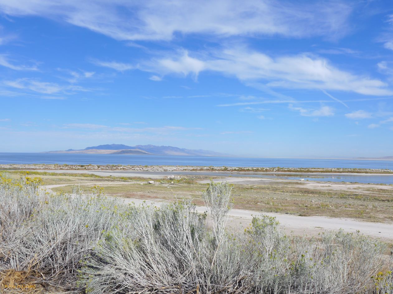 NEVADA Antelope Island Salt Lake City 02