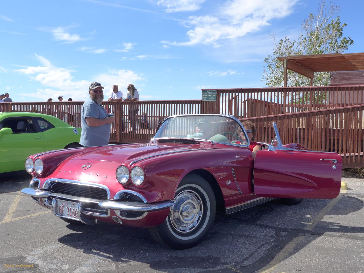 NEVADA Antelope Island Salt Lake City 07