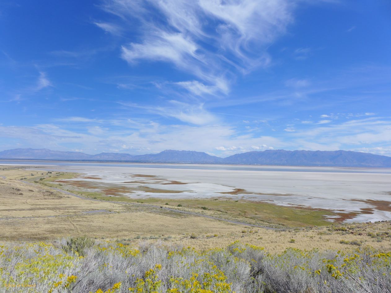 NEVADA Antelope Island Salt Lake City 11