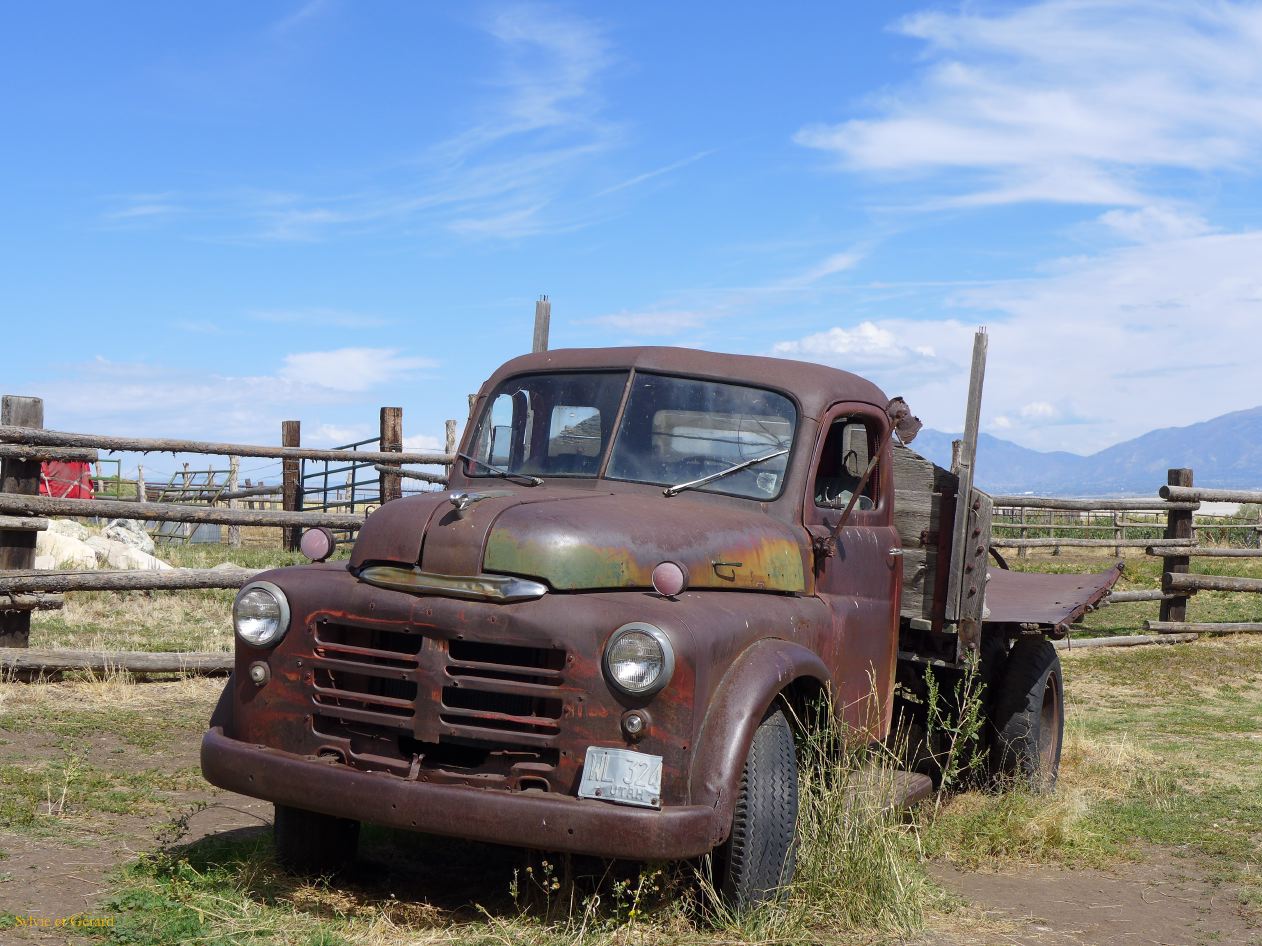 NEVADA Antelope Island Salt Lake City 13
