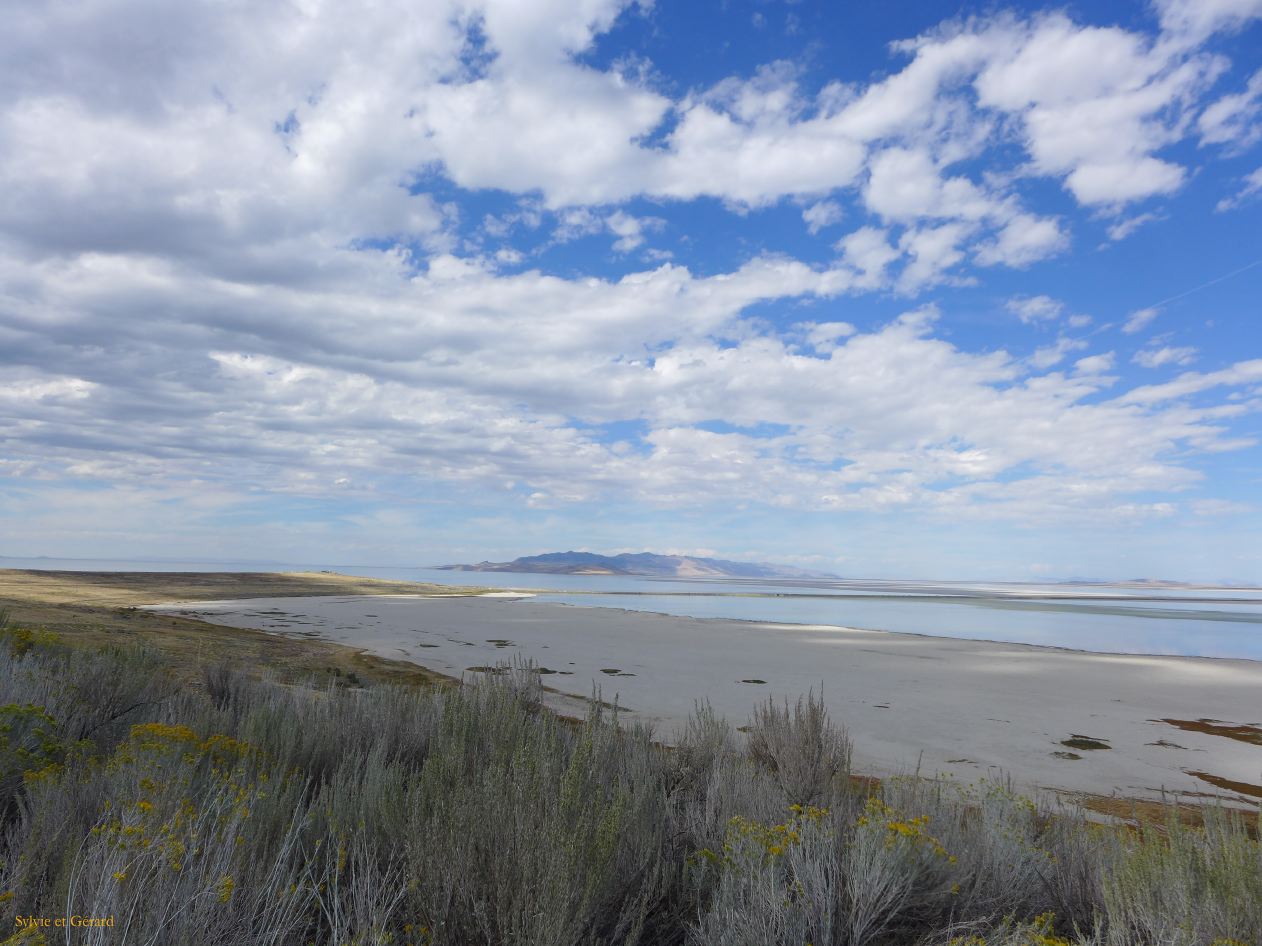 NEVADA Antelope Island Salt Lake City 16