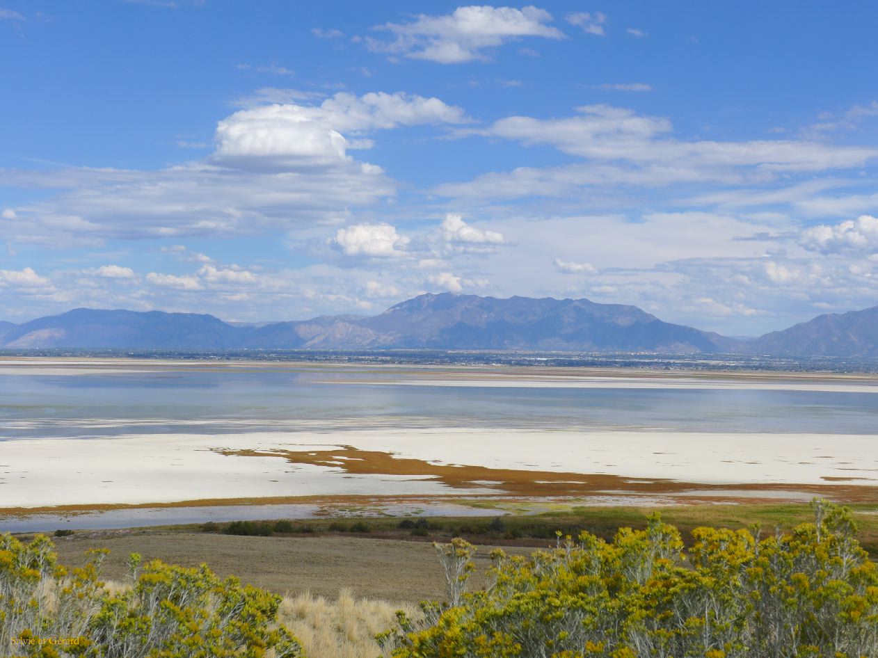 NEVADA Antelope Island Salt Lake City 18