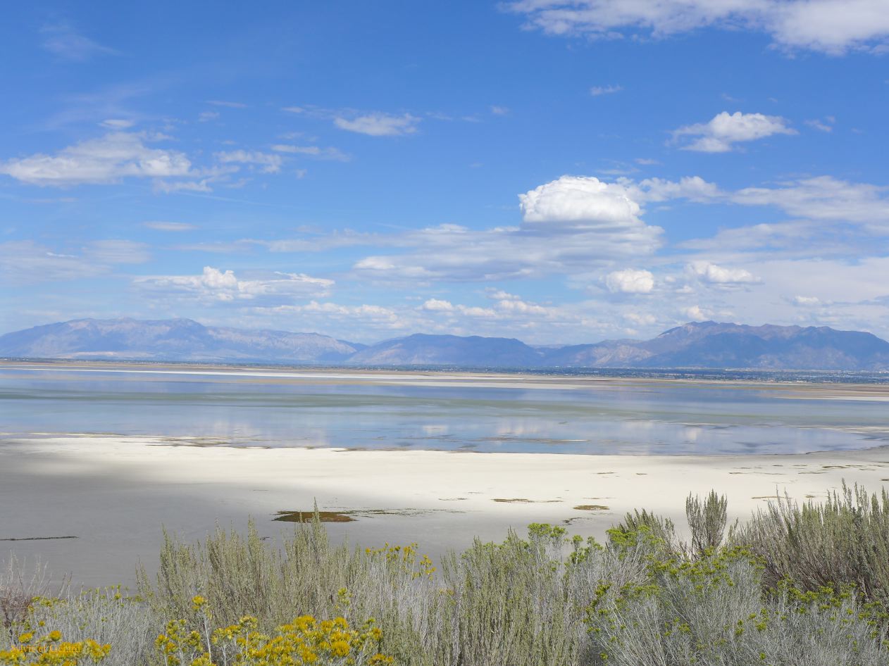 NEVADA Antelope Island Salt Lake City 19