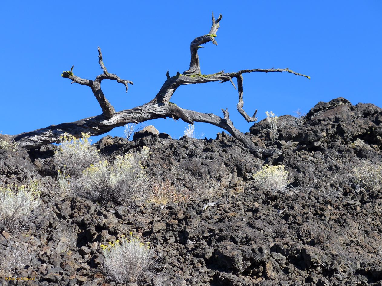 OREGON Lava Lands 07