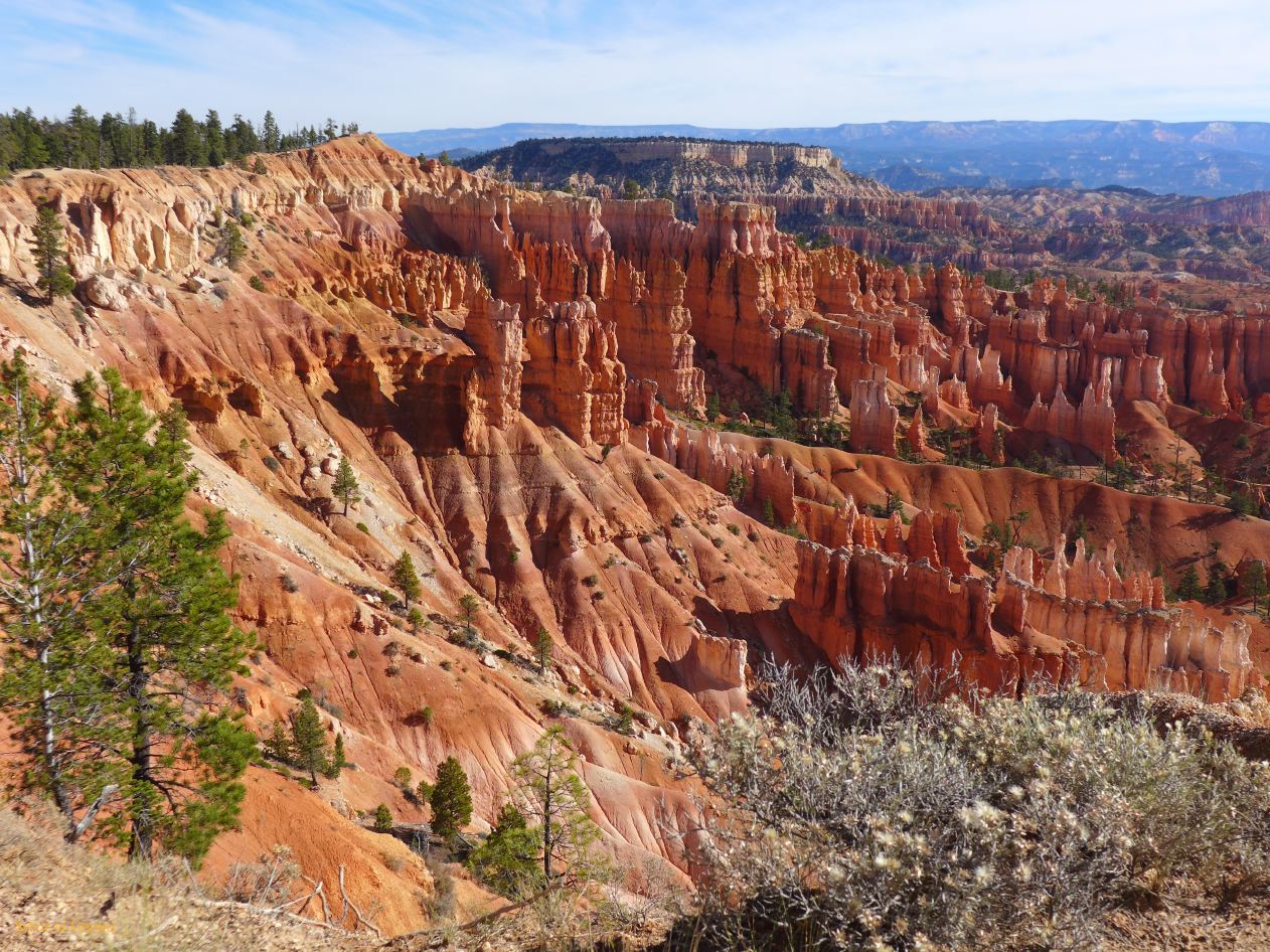 UTAH Bryce Canyon 03