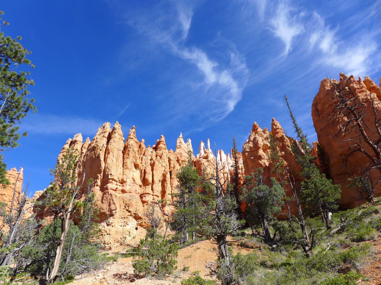 UTAH Bryce Canyon 05