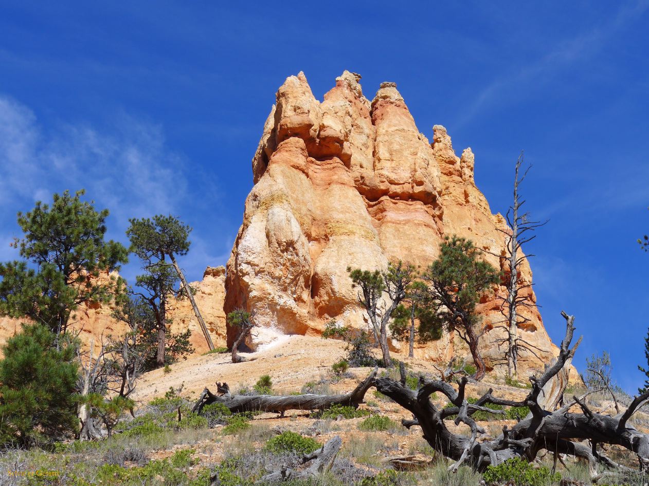 UTAH Bryce Canyon 06