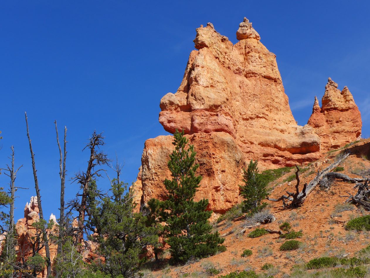 UTAH Bryce Canyon 07