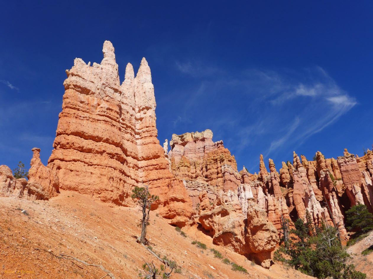 UTAH Bryce Canyon 08