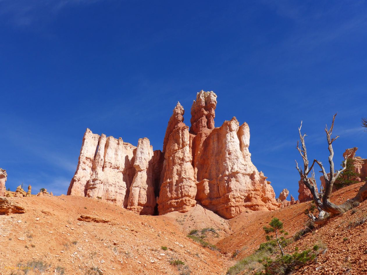 UTAH Bryce Canyon 10