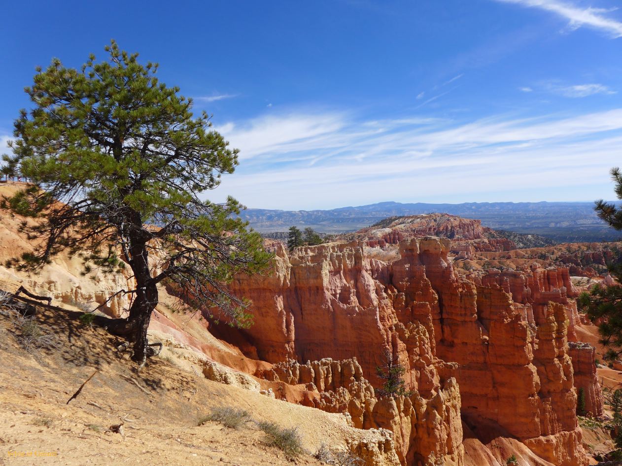 UTAH Bryce Canyon 18
