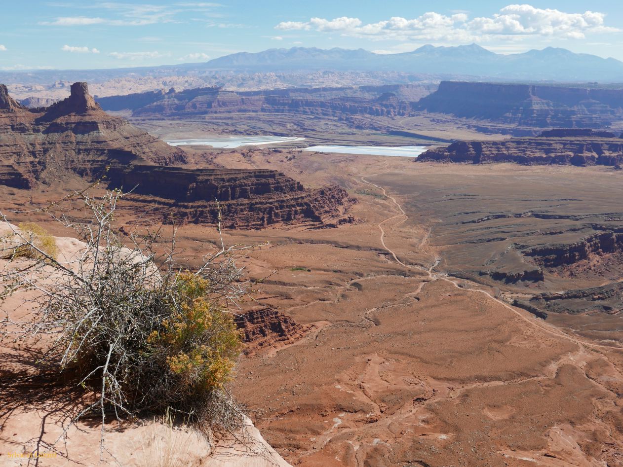 UTAH Canyon Land 03 Dead Horse Point
