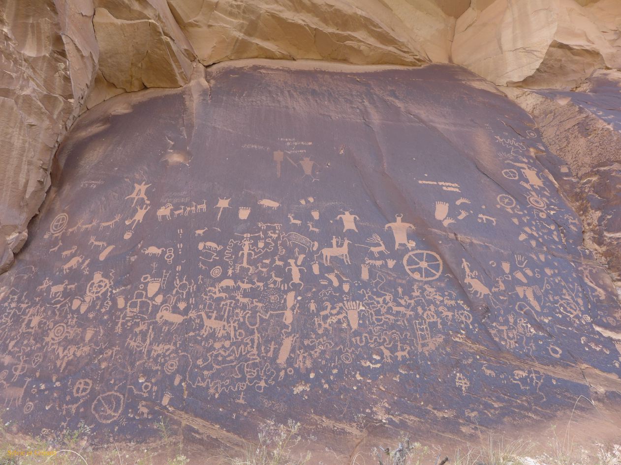 UTAH Canyon Land 15 Newspapar Rock petroglyphs