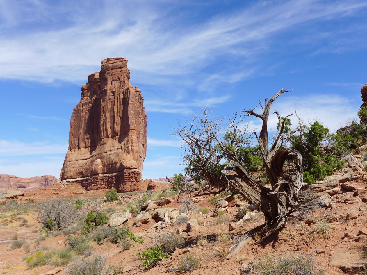 UTAH Moab Arches 03 Parc Avenue