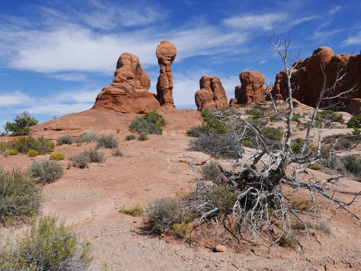 UTAH Moab Arches 09 Garden of Eden