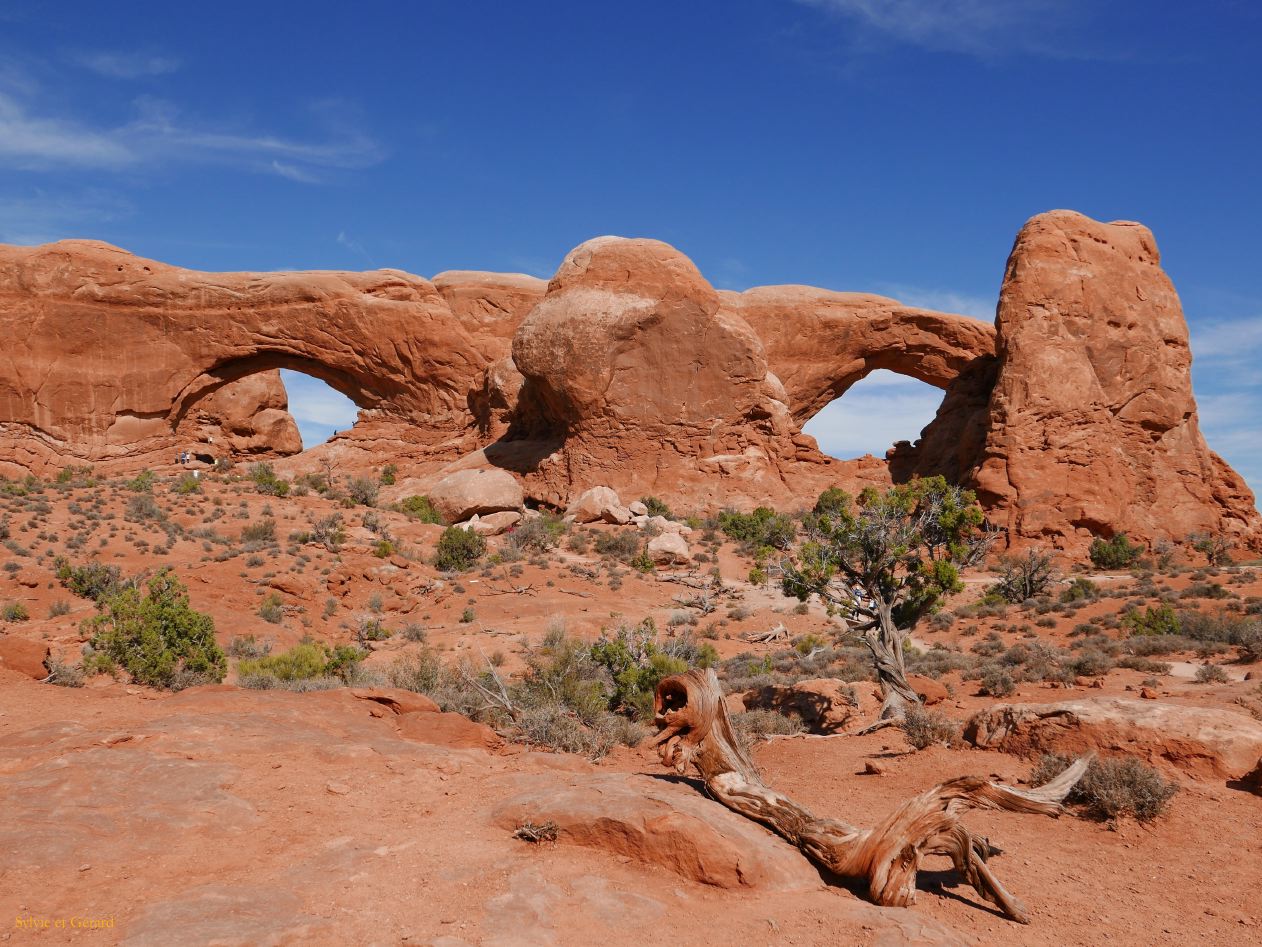 UTAH Moab Arches 10 North South Windows
