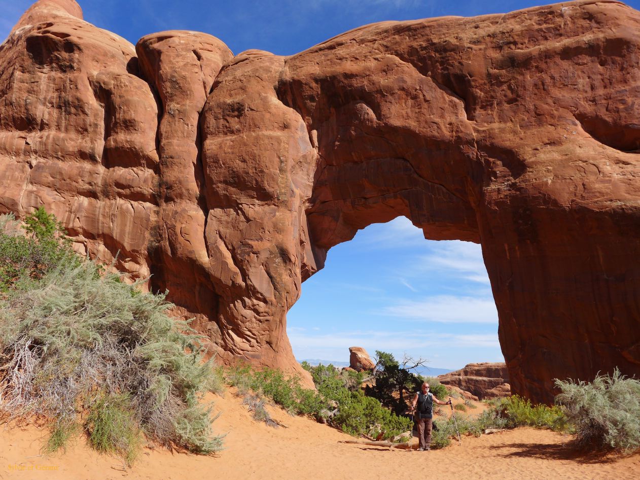 UTAH Moab Arches 16 Pine Tree Arch