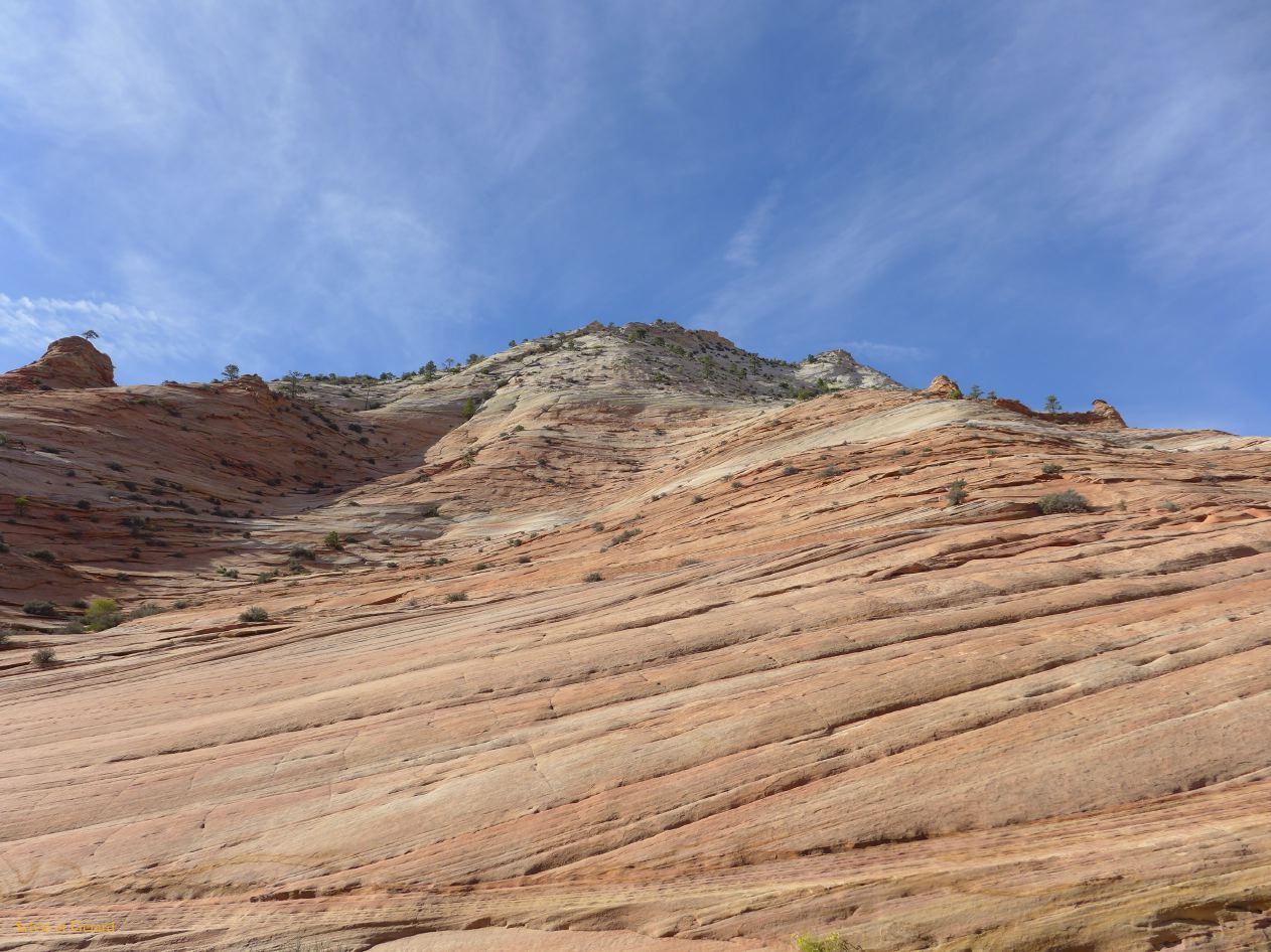 UTAH Zion 06