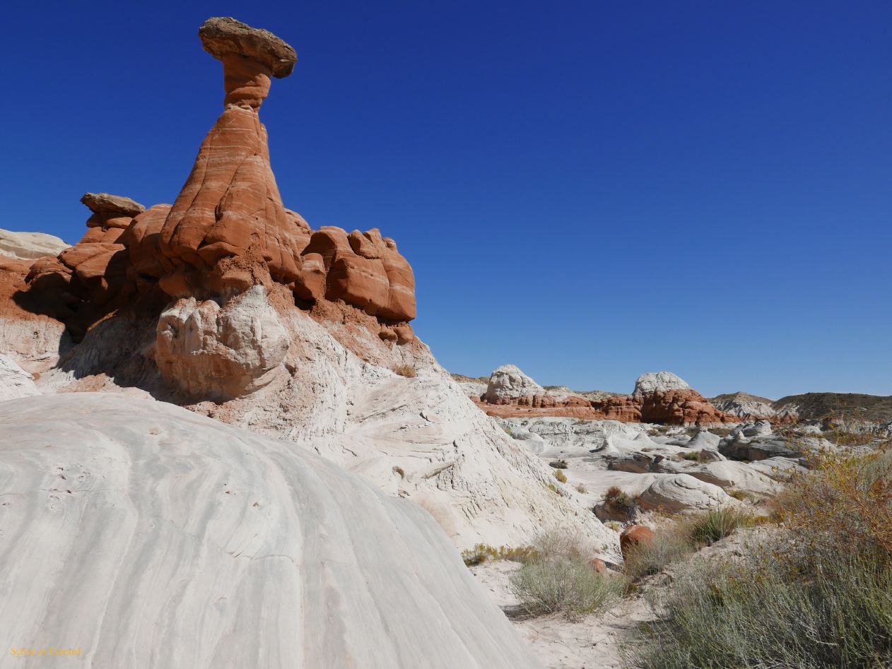 ARIZONA Grand Staircase Escalente 10