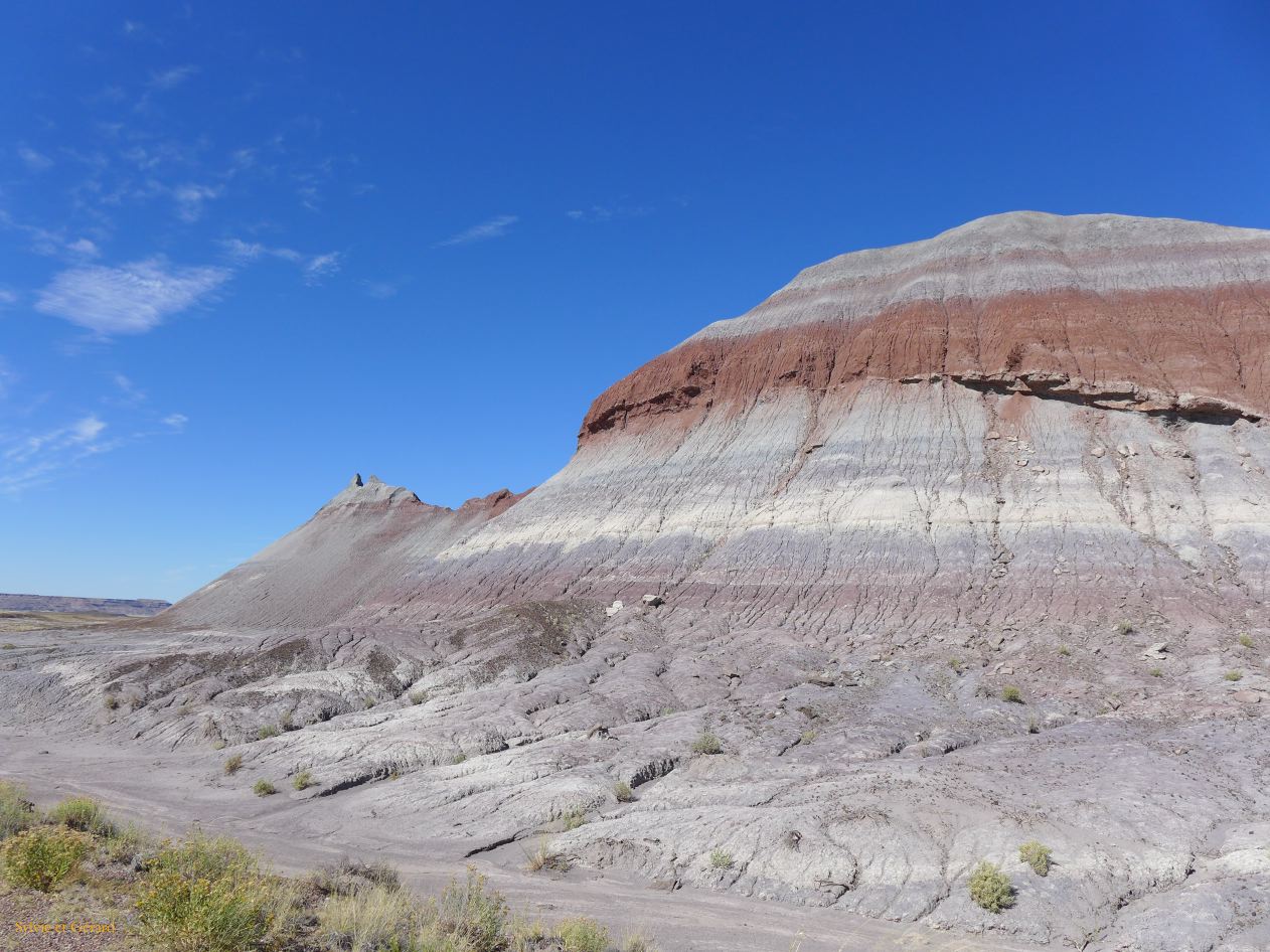 ARIZONA Petrified Forest 06