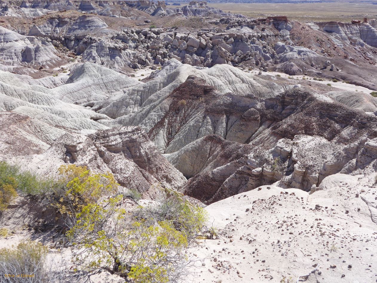 ARIZONA Petrified Forest 08