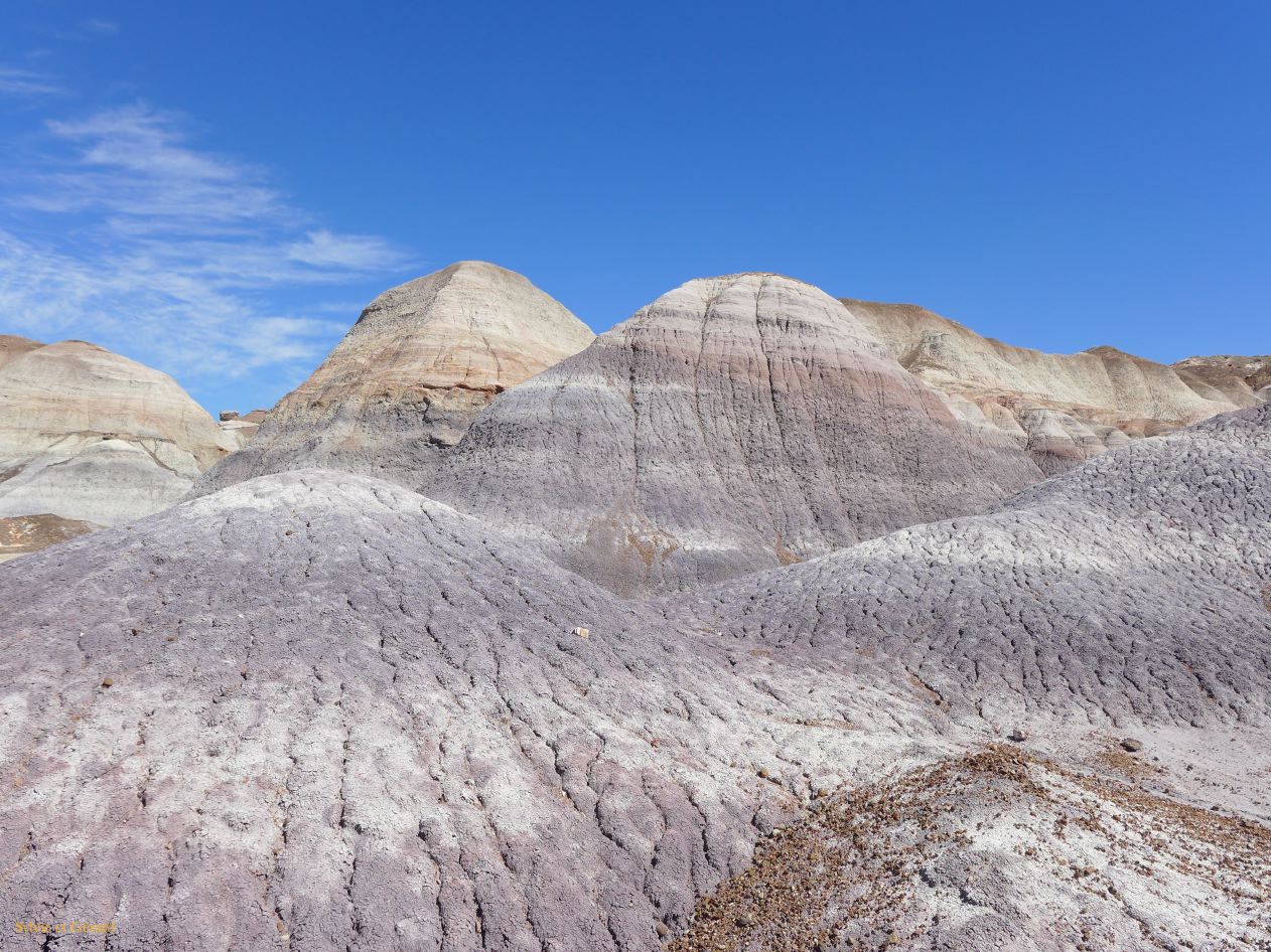 ARIZONA Petrified Forest 13