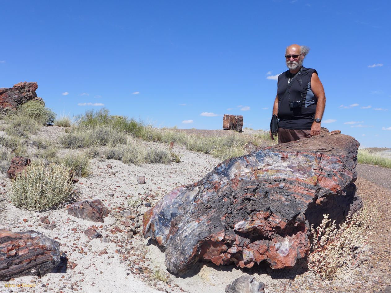 ARIZONA Petrified Forest 16