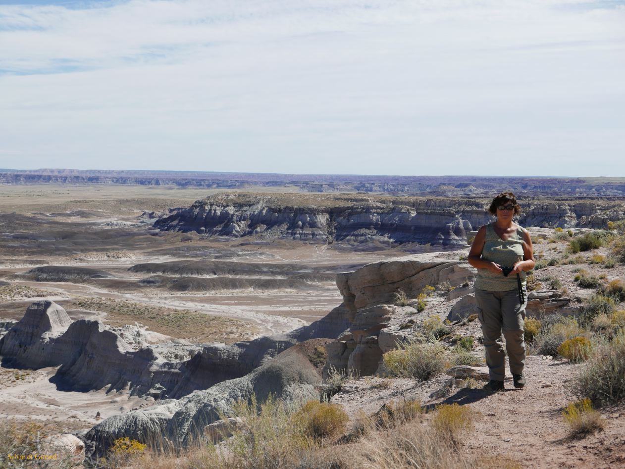 ARIZONA Petrified Forest 20