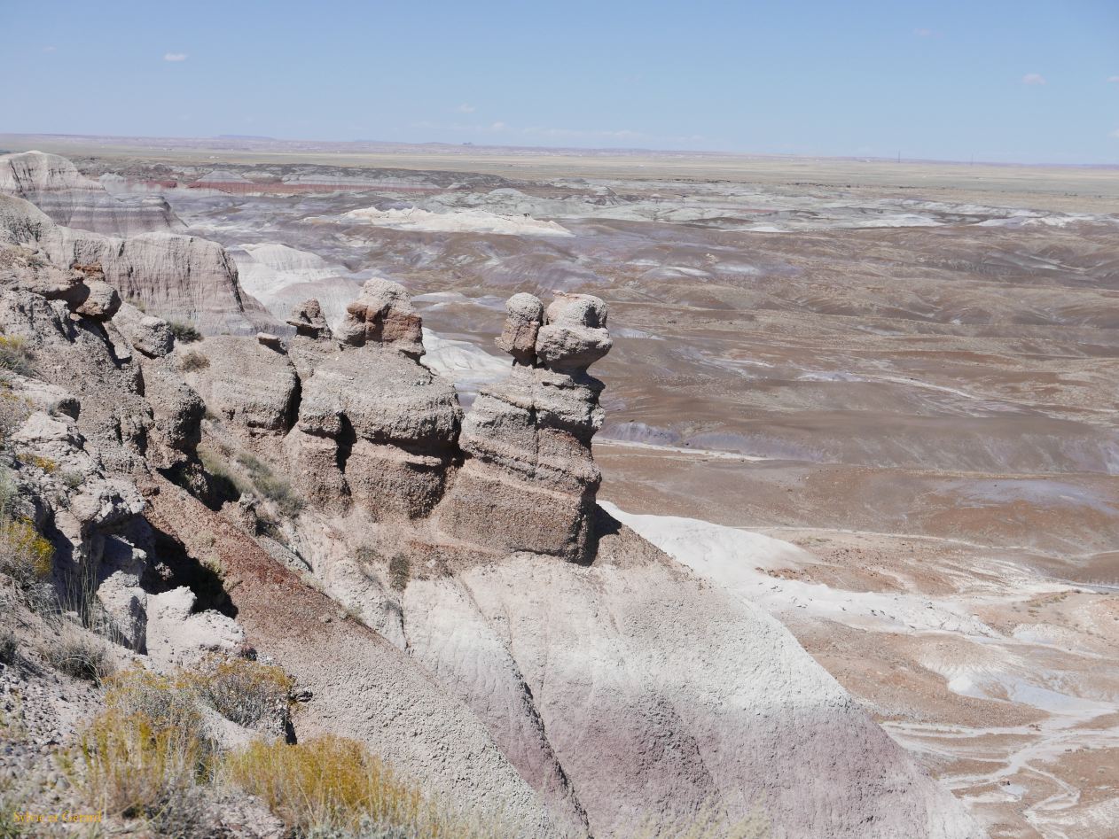 ARIZONA Petrified Forest 23