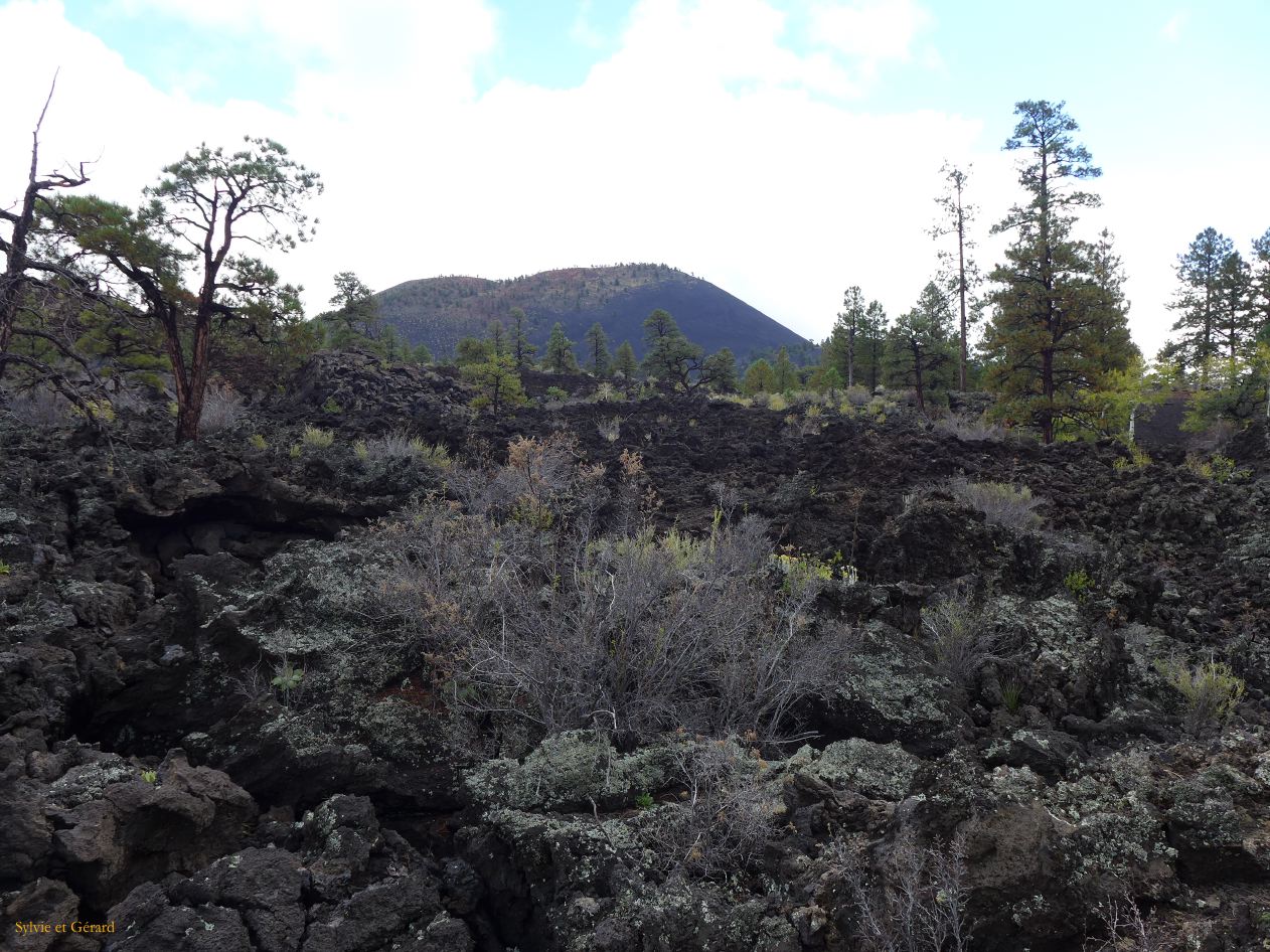 ARIZONA Sunset Crater 03