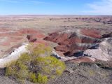 ARIZONA Petrified Forest 01