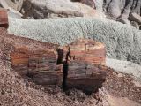 ARIZONA Petrified Forest 07
