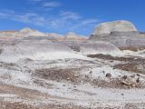 ARIZONA Petrified Forest 12