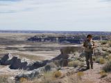 ARIZONA Petrified Forest 20