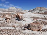 ARIZONA Petrified Forest 24