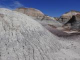ARIZONA Petrified Forest 25