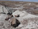 ARIZONA Petrified Forest 27