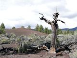 ARIZONA Sunset Crater 11