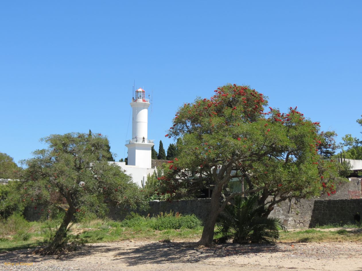 Faro 
