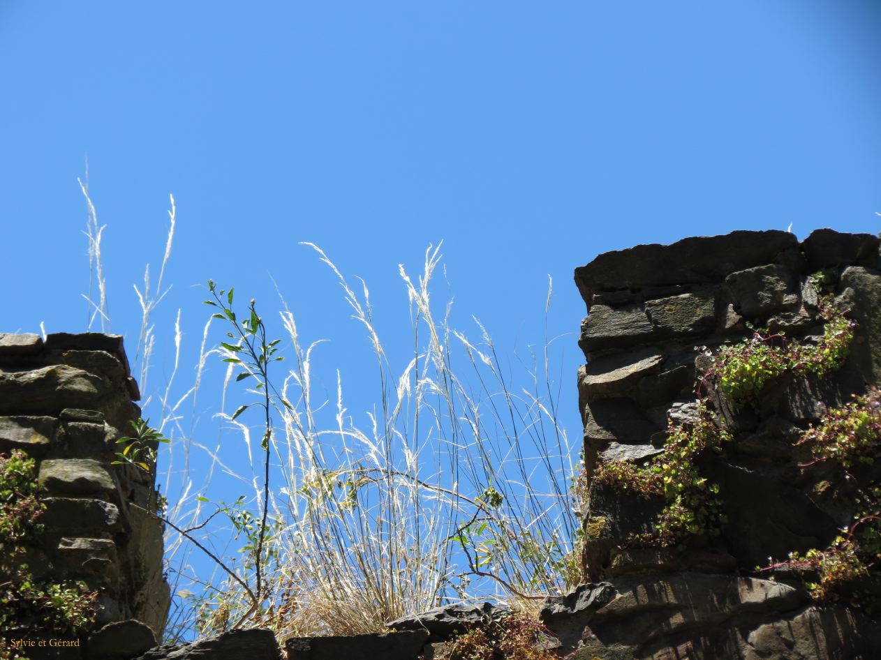 Faro ruines fleuries