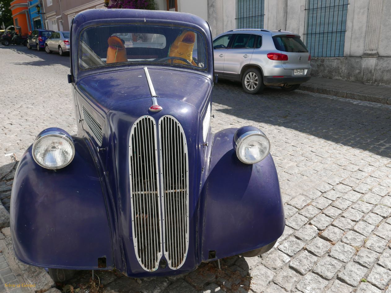 voiture bleue devant l'aquarium