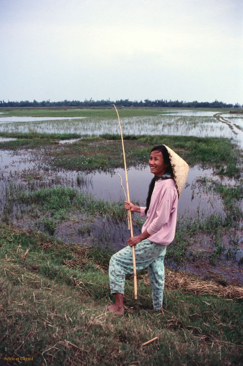 Vietnam 1994-159 Hôi An 