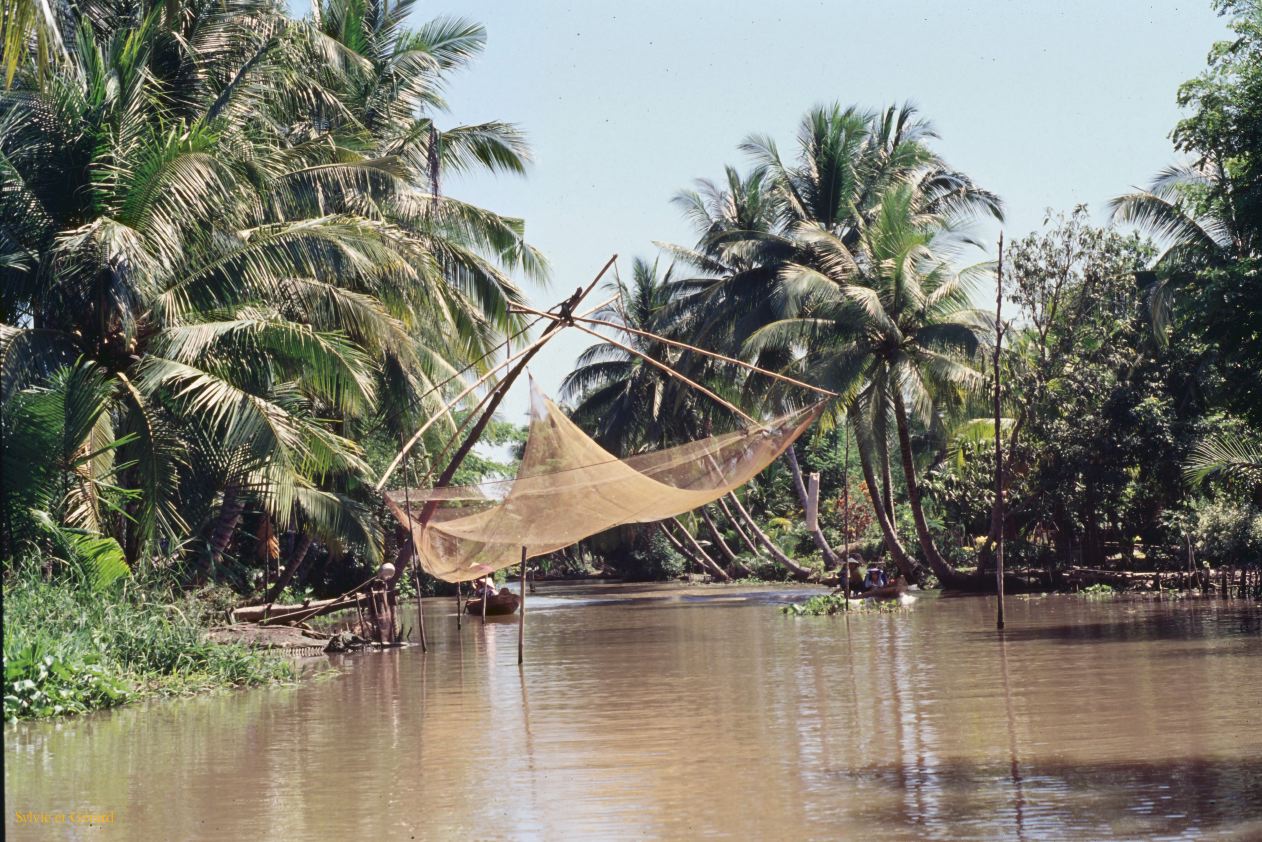 Vietnam 1994-232 Delta du Mekong 