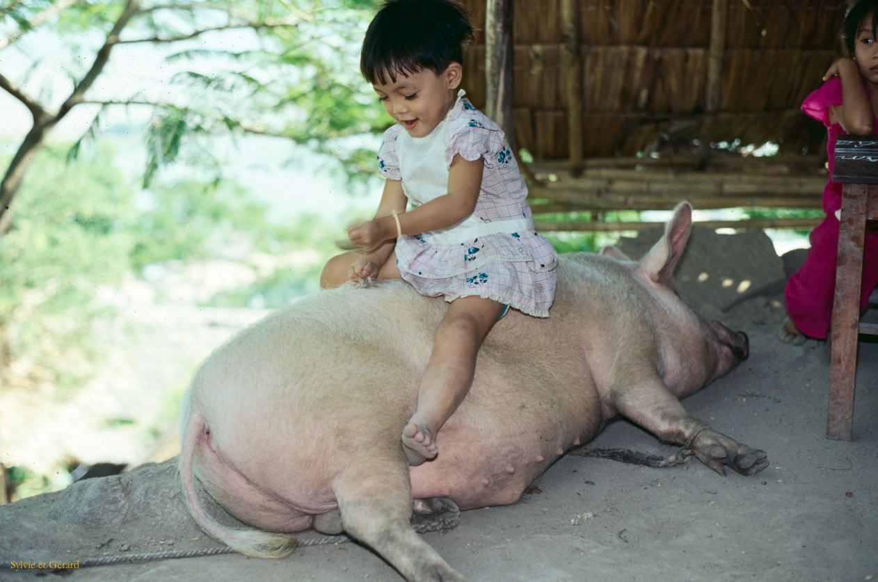 Vietnam 1994-233 Delta du Mekong 