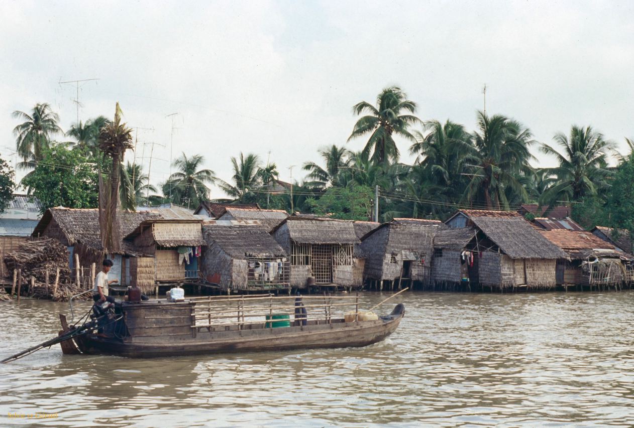 Vietnam 1994-236 Delta du Mekong 