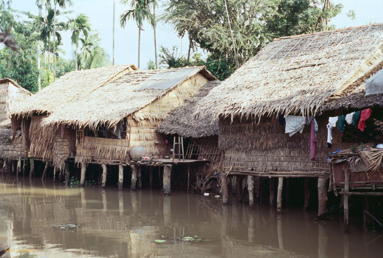 Vietnam 1994-237 Delta du Mekong 