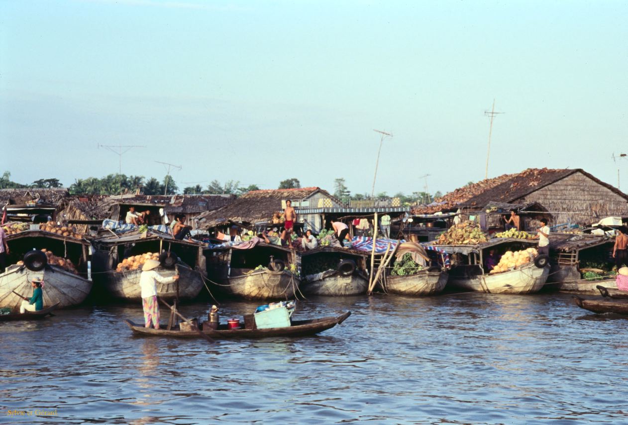 Vietnam 1994-244 Delta du Mekong 