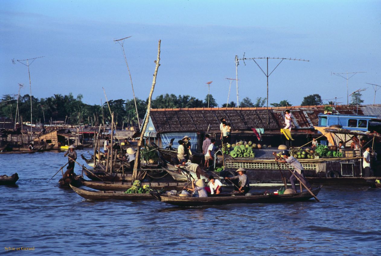 Vietnam 1994-247 Delta du Mekong 